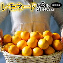 柑橘 静岡県産 レモネード 約5kg 2S〜2Lサイズ 常温 送料無料