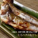 とろハタ丸干し 合計10尾(2尾120g×5袋) 干物 ハタ...