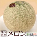 熊本県産 メロン(青肉又は赤肉) 大玉2Lサイズ 2玉セット 約1.8kg(900g前後×2玉)