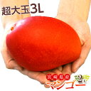 マンゴー 宮崎県産 超大玉 マンゴー 3L ×2玉(1玉:450〜509g) 送料無料