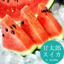 すいか スイカ 西瓜 千葉・富里産「甘太郎(かんたろう)スイカ」1玉 3L 約8kg A品
