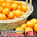柑橘 みかん JAからつ 訳有 超小玉 4S 約1.2キロ×2箱 合計2.4キロ 送料無料