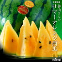 すいか スイカ 千葉県成田産 丸駒出荷組合 神山さんのサマーオレンジ 4L以上 約9kg 送