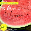 すいか スイカ 西瓜 神奈川産「木村さんの天竜すいか」 訳あ...