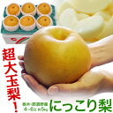 梨 なし 栃木県産 にっこり梨 約5kg 超大玉4〜6玉 秀...