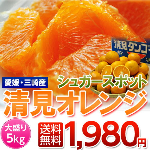 《送料無料》愛媛・三崎産 　「シュガースポット清見オレンジ（訳あり）」 M〜3L 約5kg