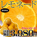 《送料無料》静岡県西浦産 「レモネード」 2S〜M　 約5キロ