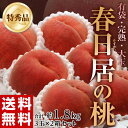 【日本一と名高い桃がお値打ち価格!!】《送料無料》山梨産 「春日居の桃」《特秀》 大玉 3玉×2箱　約1.8kg【御中元】frt☆