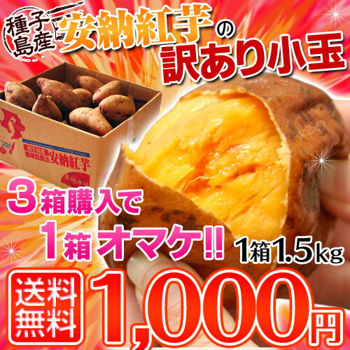 《送料無料》種子島産 「安納紅芋」 小玉　約1.5キロ　※3箱購入で4箱でお届け