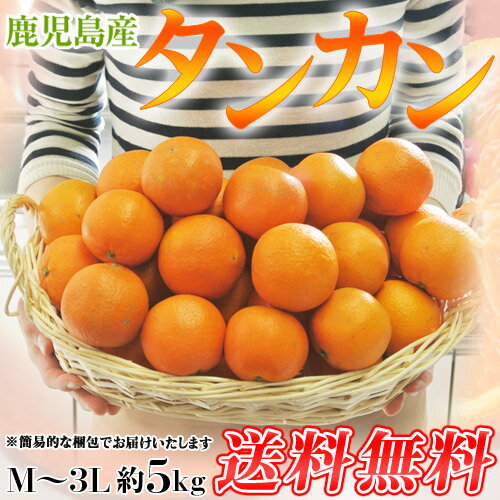 《送料無料》鹿児島産 たんかん（訳あり品） M〜3L 約5キロ最盛期の衝撃価格でご奉仕