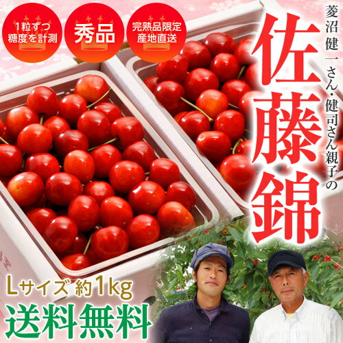 福島産 菱沼農園のさくらんぼ（佐藤錦） 秀品Lサイズ 約1キロ　500g×2パック　送料無料