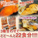 秋鮭塩焼き10枚&トラウトサーモン照り焼き10枚+さば照焼2枚　合計22食分　※冷凍　送料無料在庫処分!!オマケもつけて、今週すぐに出荷します!!