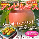 《送料無料》青森産「アンビシャス」特選 約3kg （9〜12玉)