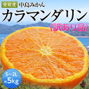 《送料無料》愛媛産　中島みかん（カラマンダリン）訳あり品　S〜2Lサイズ　約5kgとっても味が濃い！