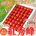 山形県産　温室栽培「紅秀峰」　Lサイズ以上　約300g　手詰め化粧箱　送料無料佐藤錦を超える!?山形の希少さくらんぼを産地直送！