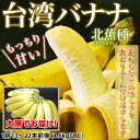 台湾産 『台湾バナナ』(北蕉種) 大房1房 13〜22本(1.5kg以上) ※送料無料 frt - 築地からの直送便