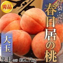 《送料無料》【桃の最高級ブランド】 山梨産 春日居の桃 秀品 大玉サイズ 約2.7キロ(9玉) frt