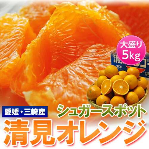 《送料無料》愛媛・三崎産 　「シュガースポット清見オレンジ（訳あり）」 M〜3L 約5kg