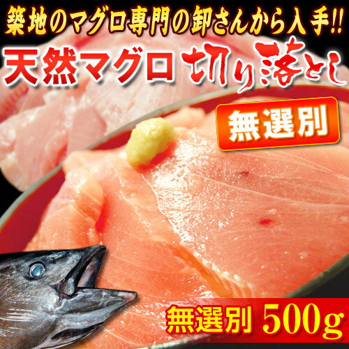 無選別 『天然マグロ』 切り落とし （メバチ・キハダ）　業務用500g!!　※冷凍　sea…...:tsukiji-chokusoubin:10002027