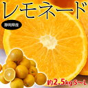 《送料無料》静岡産「レモネード」S〜L 約2.5キロそのまま食べられる甘いレモン!?