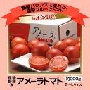 静岡・長野産　「アメーラトマト」　1箱　S〜Lサイズ（8〜16玉）　約900g　※冷蔵知名度No.1ブランド