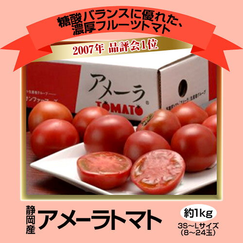 2007ǯ٥եɾ1̡ۼڥꥨǧ᤿...