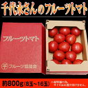 　千代永さんのフルーツトマト（熊本産）　約800g（8〜16玉）たった一人