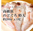 高級干物 のどぐろの開き 贈答用 築地直送 特大サイズ200...