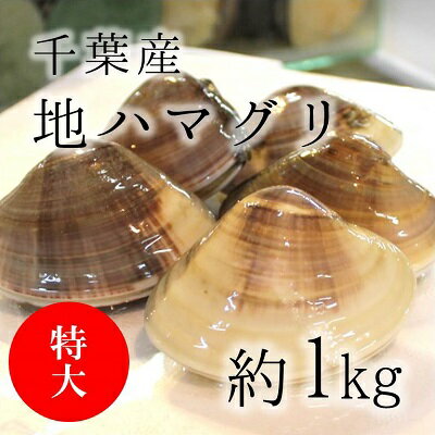 天然 地はまぐり 生（活け）特大サイズ（約100g/個）約1kg 千葉産 BBQには最適 出汁の旨味...:tsukiji-okawari:10000041