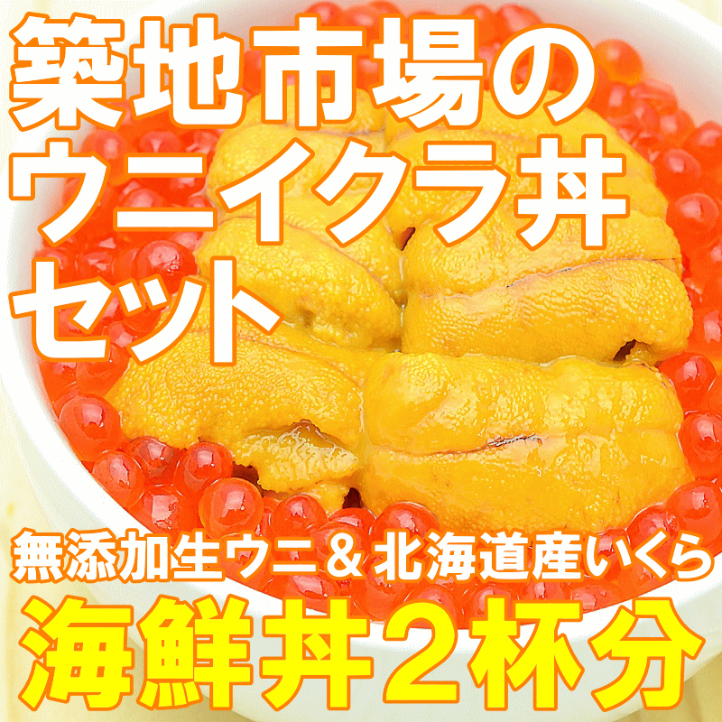 築地市場のウニイクラ丼セット 2杯分 無添加生ウニ100g＆いくら醤油漬け100g 海鮮丼で約2杯分【うに ウニ いくら イクラ うにいくら丼 海鮮丼 手巻き寿司 寿司ネタ 刺身 福袋 築地 ギフト】【あす楽】r