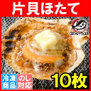 ホタテ ほたて 特大 片貝ほたて 10枚入り 10〜11cm...