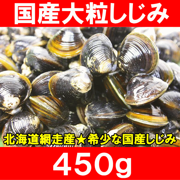 国産★北海道網走産の大粒しじみ450g！柔らかく旨味があり、良いダシが出ます♪【しじみ】【シジミ】【蜆】【国産しじみ】【国産シジミ】【北海道産】【業務用】【味噌汁】【冷凍】【築地】【レシピ】