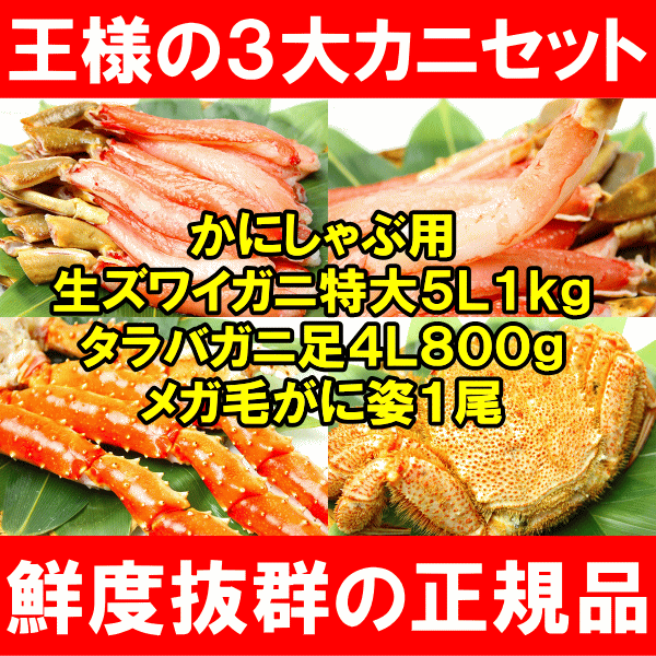 yzɂԗpYCKj5L僁Kт1{^o4LZbgyYCKjzy킢Ɂzyɂԁzy^oKjzyуKjzyɁzyJjzyIzyVszyMtgzyyMt_̂zysmtb-Tz