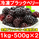 冷凍ブラックベリー<1kg・500g×2パック>弾けるブラックベリーをたっぷりと!【ブラックベリー】【冷凍ブラックベリー】【完熟ブラックベリー】【冷凍フルーツ】【冷凍デザート】【冷凍食品】【業務用】【ヨナナス】【スムージー】【レシピ】【楽ギフ_のし】