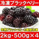 冷凍ブラックベリー<2kg・500g×4パック>弾けるブラックベリーをたっぷりと!【ブラックベリー】【冷凍ブラックベリー】【完熟ブラックベリー】【冷凍フルーツ】【冷凍デザート】【冷凍食品】【業務用】【ヨナナス】【スムージー】【レシピ】【楽ギフ_のし】