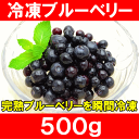 冷凍ブルーベリー<500g×1パック>爽やかな酸味のブルーベリーをたっぷりと!【ブルーベリー】【冷凍ブルーベリー】【完熟ブルーベリー】【ヨナナス】【スムージー】【冷凍フルーツ】【冷凍果実】【冷凍デザート】【業務用冷凍食品】【レシピ】【楽ギフ_のし】