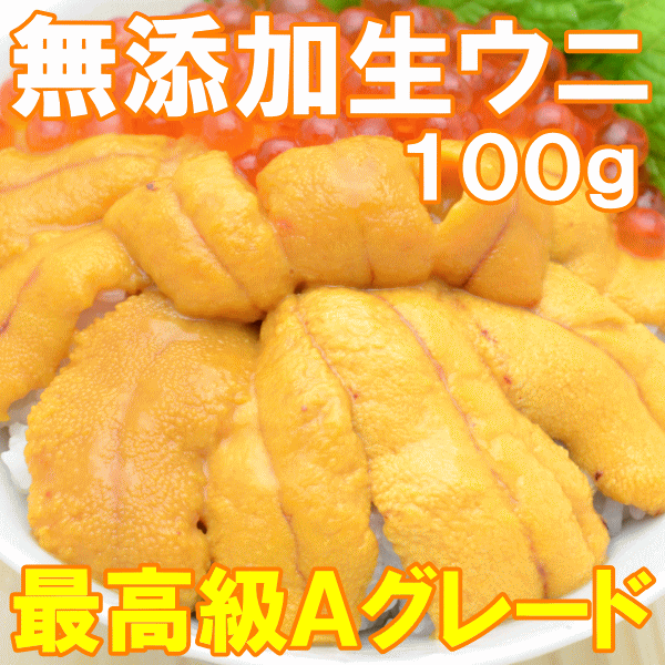 【送料無料】うに 冷凍生うに 無添加 100g×6パック 最高級Aグレード。うに丼約12杯分のお試しサイズ【ウニ ウニ丼 刺身 うにパスタ うにスパゲッティ うに軍艦 いちご煮 海鮮丼 手巻き寿司 寿司ねた 築地市場 ギフト】【あす楽】rn