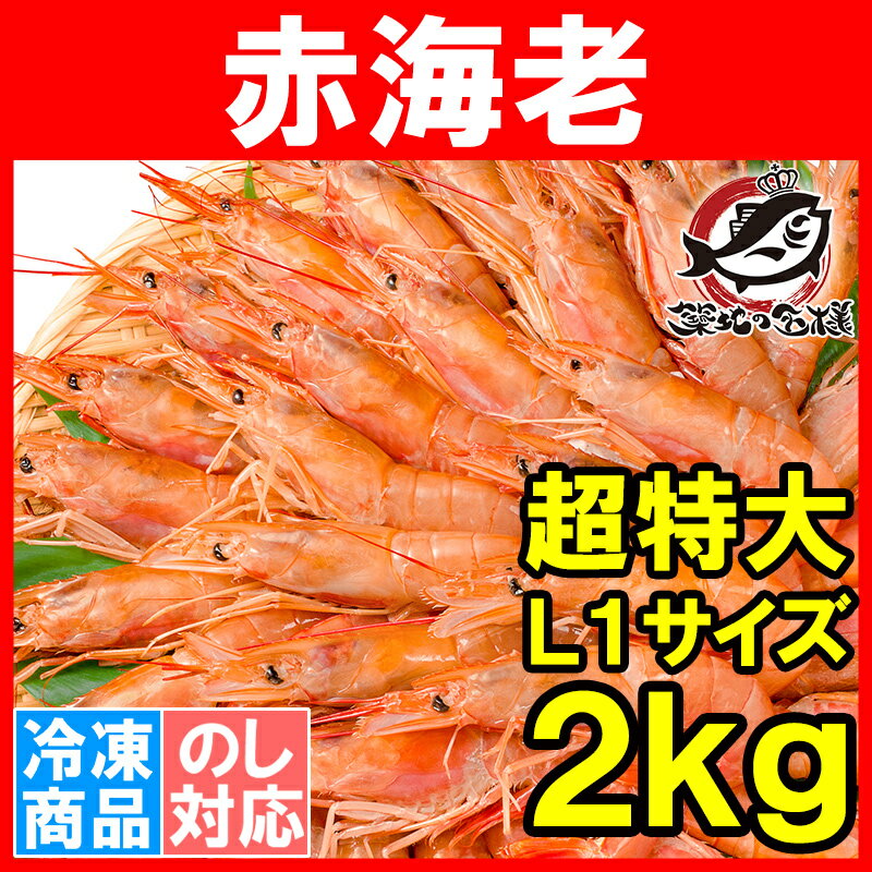 赤海老2kg＜超特大L1・20〜40尾・業務用1箱＞お刺身用赤えび。ぼたん海老を超える希少…...:tsukiji-ousama:10001275