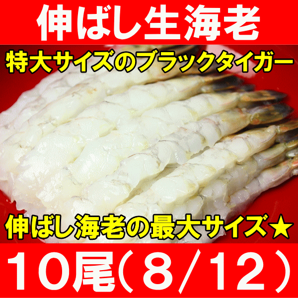 伸ばし海老＜ブラックタイガー10尾・8 12・伸ばしエビ加熱用＞ビッグサイズむき海老は鮮度…...:tsukiji-ousama:10000791