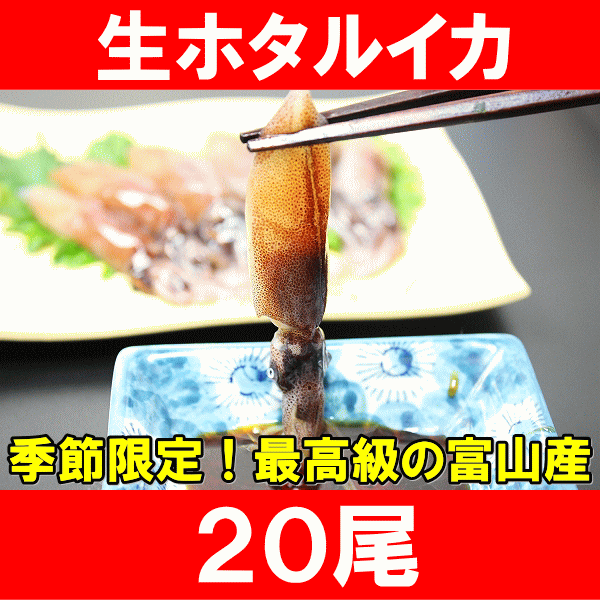 お刺身♪生ホタルイカ☆約150g（20尾）！シーズン最盛期！最高級の富山産ほたるいかは大きくぷりぷりの食感！【いか】【イカ】【ほたるイカ】【ほたるいか】【蛍烏賊】【烏賊】【新物】【築地】【海鮮】【刺身】【レシピ】【ギフト】季節限定販売！最高級の富山産ホタルイカを旬の時期に日本海の豊かな春の風味をたっぷりとお召し上がりください。老舗百貨店にも卸している本物の味！ 築地の王様厳選セレクト★