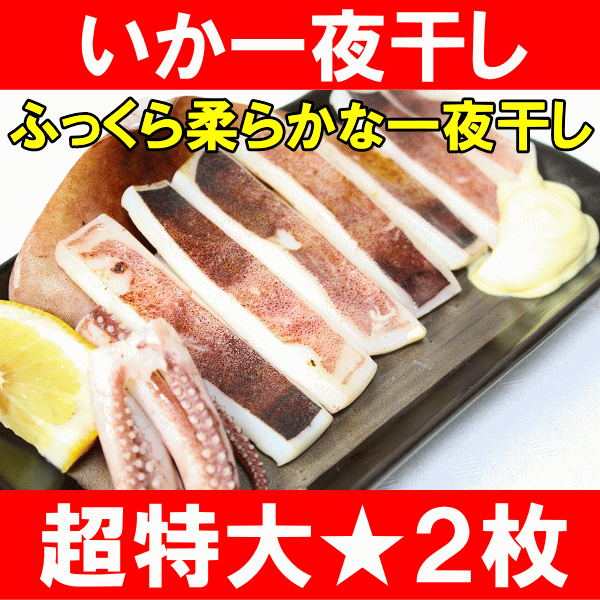 本当にデカイ！超特大★絶品の真いか一夜干し(2枚入・1袋)。甘塩手造りの特選クラスを期間限定価格で♪驚きの大きさと身の厚さでとても柔らか！【いか】【イカ】【烏賊】【いか一夜干し】【イカ一夜干し】【干物】【珍味】【築地】【レシピ】【ギフト】【楽ギフ_のし】八戸沖産の新鮮な真イカを、厳選して加工処理した逸品です。真いか特有の歯ごたえ、風味をご賞味下さい。ふっくらと柔らかないか一夜干しは、お酒の肴にもぴったり♪