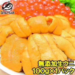 <strong>うに</strong> <strong>冷凍</strong>生<strong>うに</strong>100g <strong>うに</strong>丼約2杯分 <strong>うに</strong> ウニ <strong>うに</strong>パスタ <strong>うに</strong>スパゲッティ <strong>うに</strong>軍艦 <strong>うに</strong>丼 ウニ丼 いちご煮 海鮮丼 手巻き寿司 寿司ねた 軍艦巻き 築地市場 豊洲市場 おせち 単品おせち ギフト【あす楽】