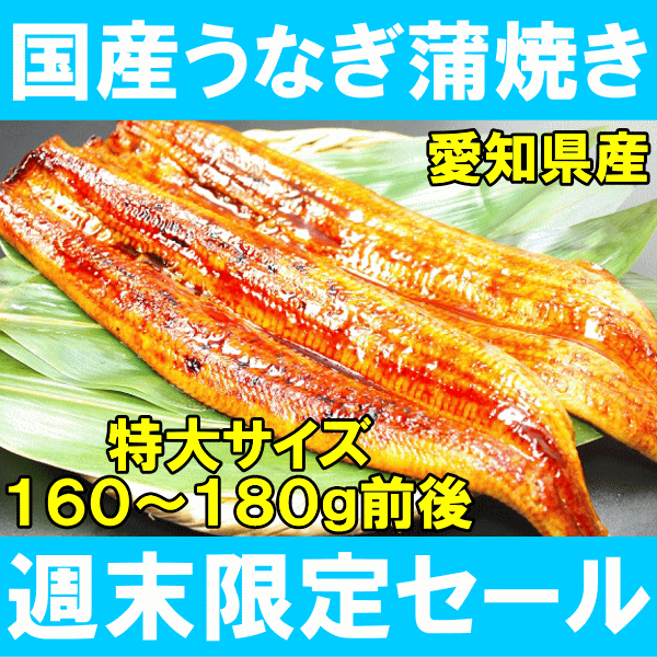 【週末限定★送料無料2500円ポッキリ】特大！国産うなぎ蒲焼き160〜180g前後（1尾・鹿児島県産）。柔らかうなぎを丁寧に焼き上げた国産の最高品質。デパ地下にも卸しています【うなぎ】【ウナギ】【鰻】【国内産】【蒲焼き】【土用の丑】【ギフト】【GB0304_ポッキリ】