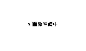 https://thumbnail.image.rakuten.co.jp/@0_mall/tsurigu-tobinuke/cabinet/06513585/imgrc0087376841.jpg?_ex=500x500