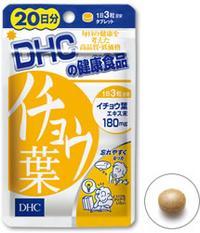 DHCの健康食品　イチョウ葉　【20日分】(60粒)　ツルハドラッグ