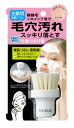 BCL ツルリ 全顔つるり筆 洗顔ブラシ 全顔用洗顔ブラシ ...