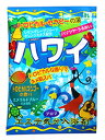 ヘルス エステ気分アロマ ハワイ (40g) 入浴剤...