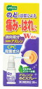 【第3類医薬品】メディズワン 福地製薬 アズレンC