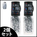 《セット販売》 コーセー ネイルホリック パーティーフレーク SV026 (5mL)×2個セット ネイルカラー NAILHOLIC