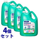 《セット販売》 花王 プロフェッショナル ワイドハイターEX...